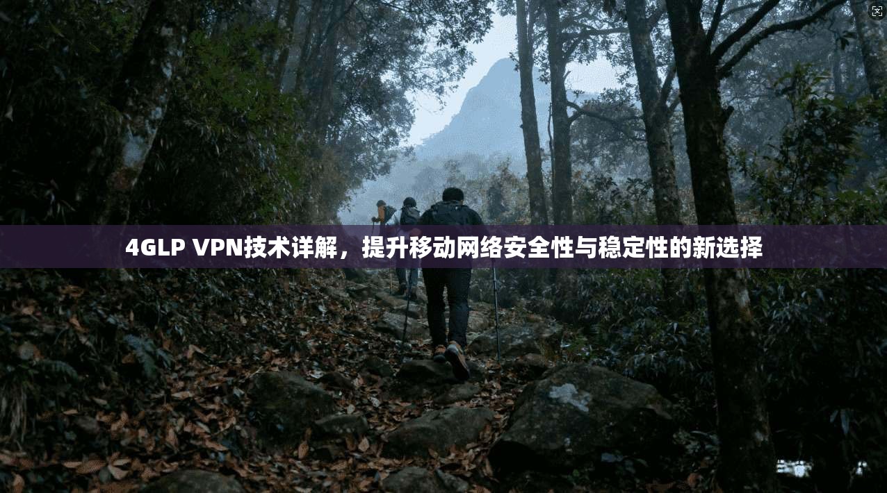 4GLP VPN技术详解，提升移动网络安全性与稳定性的新选择