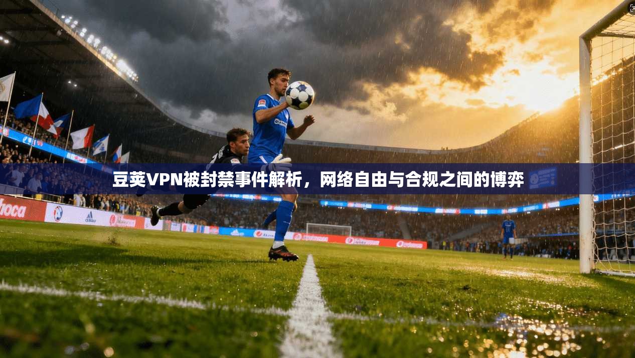 豆荚VPN被封禁事件解析，网络自由与合规之间的博弈