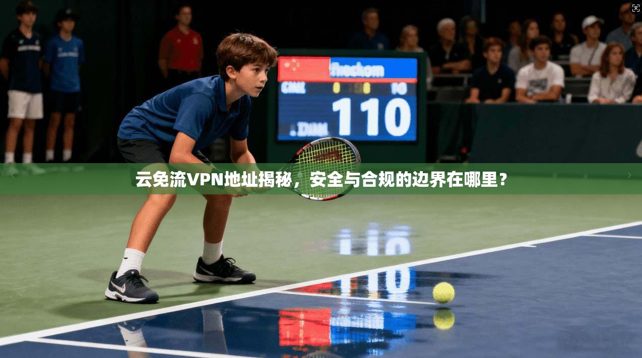 云免流VPN地址揭秘，安全与合规的边界在哪里？