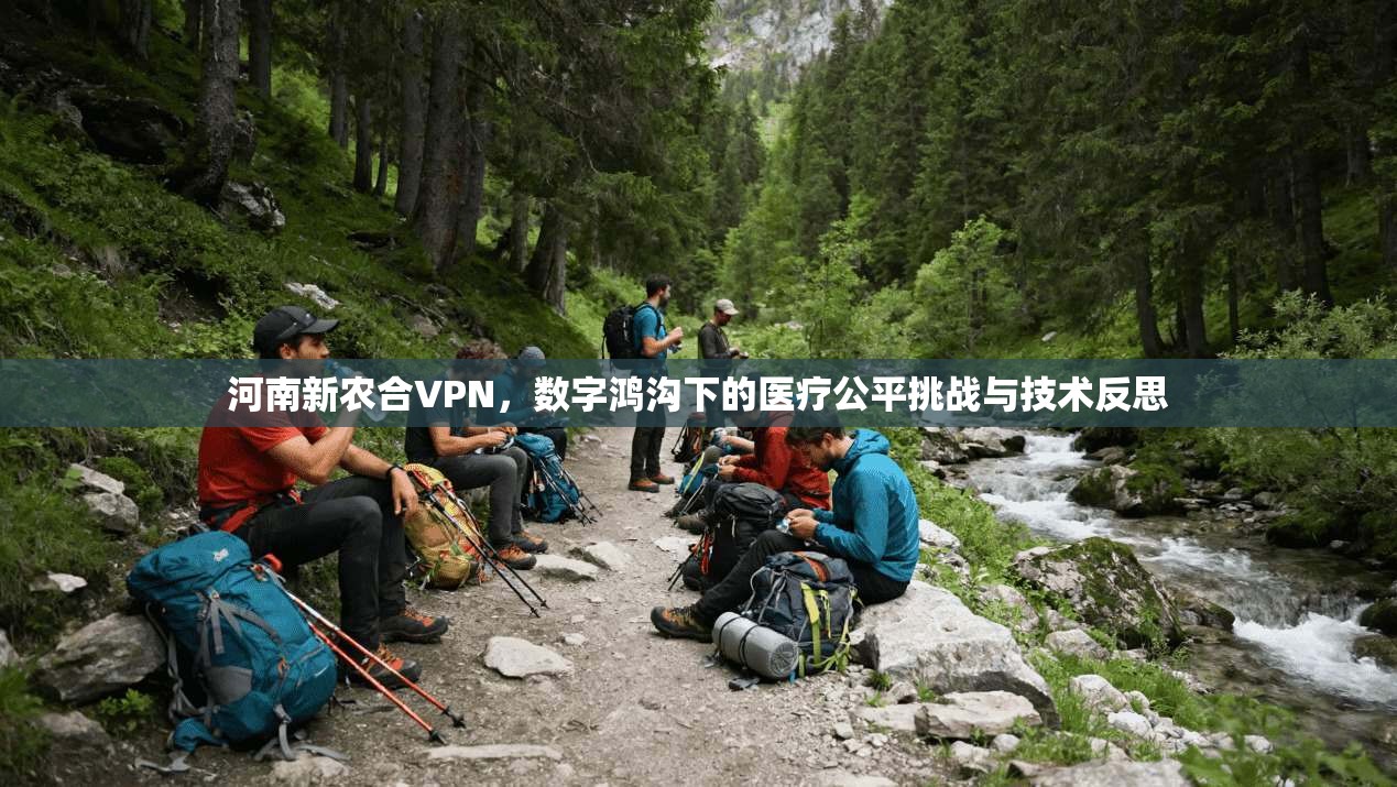 河南新农合VPN，数字鸿沟下的医疗公平挑战与技术反思
