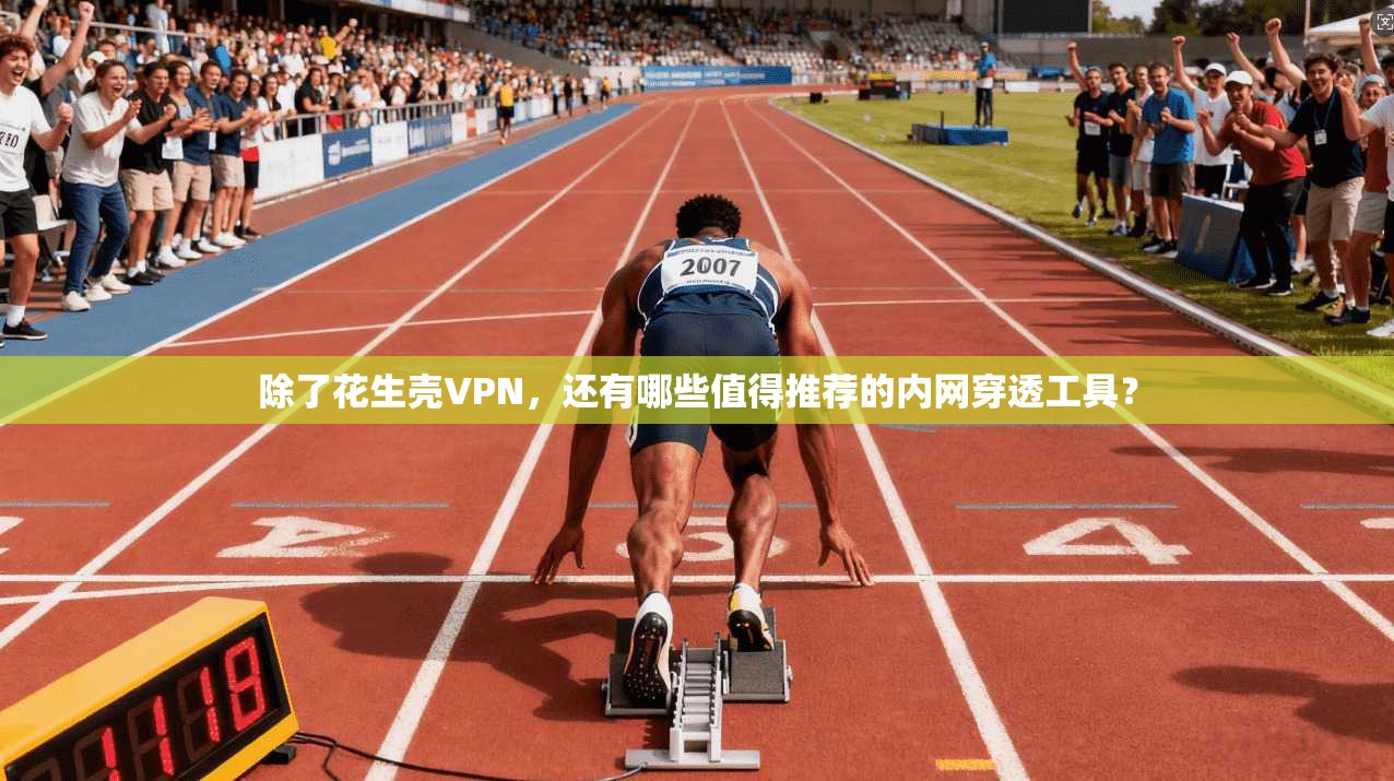 除了花生壳VPN,还有哪些值得推荐的内网穿透工具?