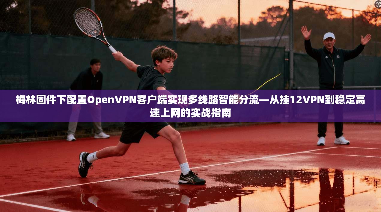 梅林固件下配置OpenVPN客户端实现多线路智能分流—从挂12VPN到稳定高速上网的实战指南 梅林固件下配置OpenVPN客户端实现多线路智能分流—从挂12VPN到稳定高速上网的实战指南