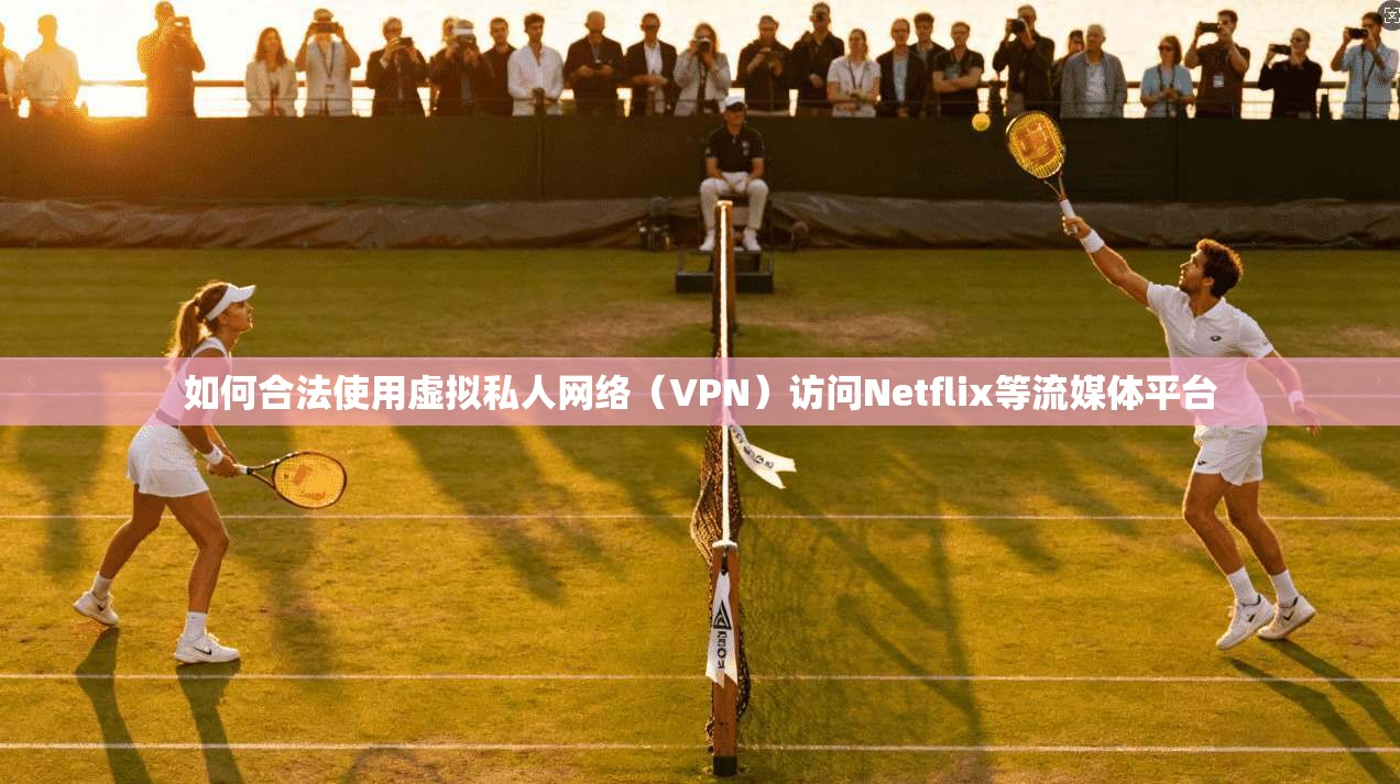 如何合法使用虚拟私人网络（VPN）访问Netflix等流媒体平台