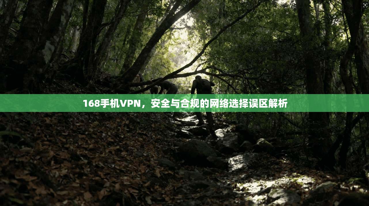 168手机VPN,安全与合规的网络选择误区解析