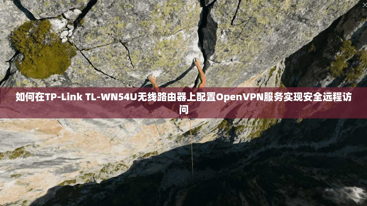 如何在TP-Link TL-WN54U无线路由器上配置OpenVPN服务实现安全远程访问