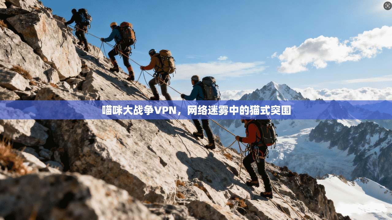 喵咪大战争VPN，网络迷雾中的猫式突围