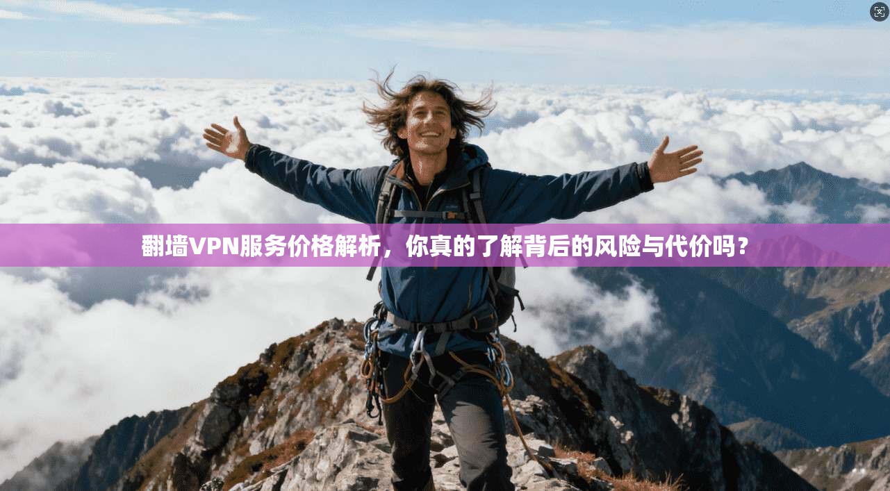 翻墙VPN服务价格解析,你真的了解背后的风险与代价吗?