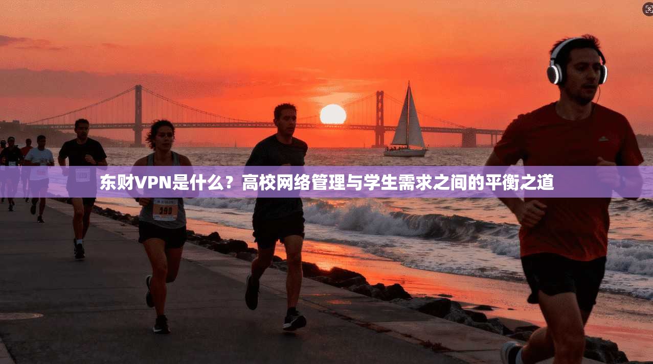 东财VPN是什么？高校网络管理与学生需求之间的平衡之道