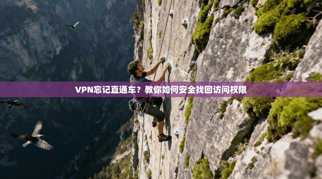 VPN忘记直通车？教你如何安全找回访问权限