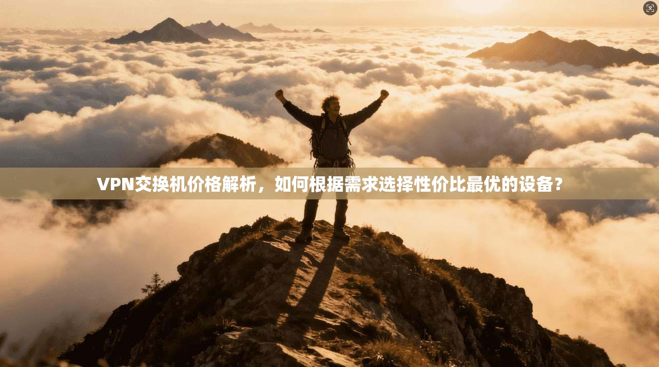 VPN交换机价格解析，如何根据需求选择性价比最优的设备？
