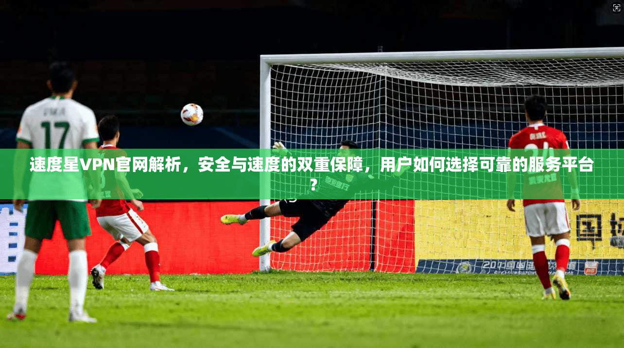 速度星VPN官网解析,安全与速度的双重保障,用户如何选择可靠的服务平台?