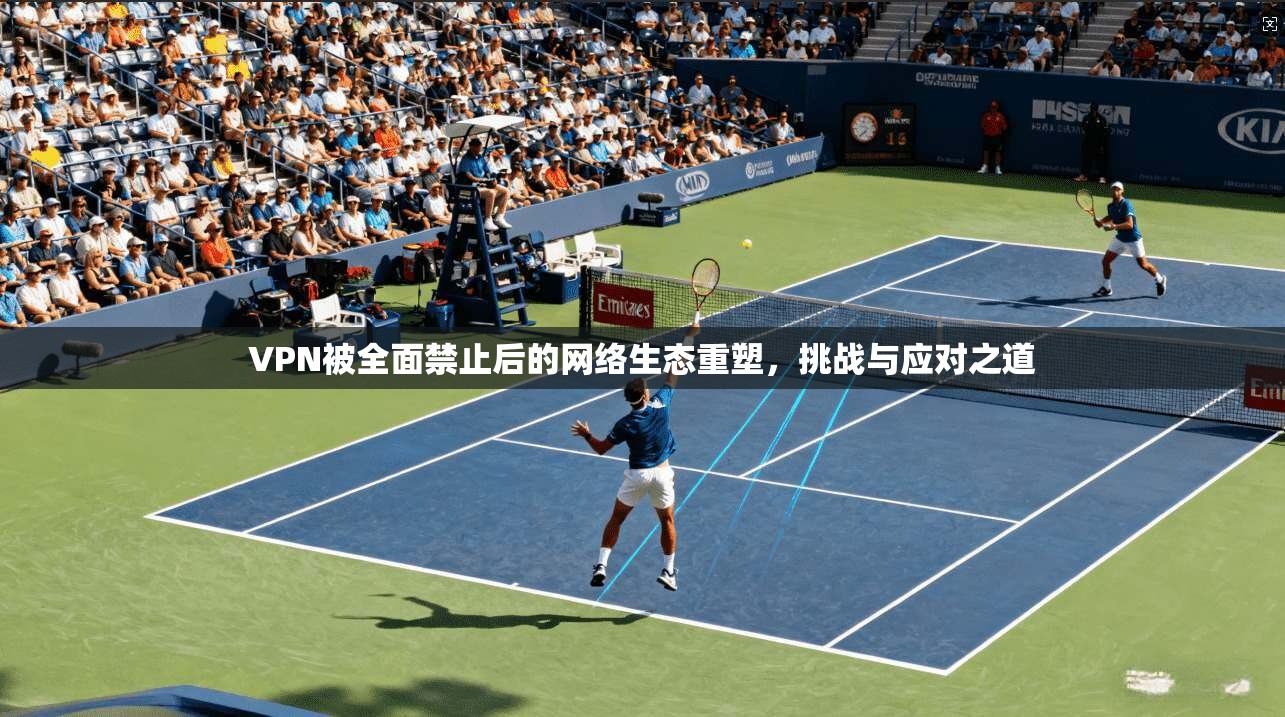 VPN被全面禁止后的网络生态重塑,挑战与应对之道