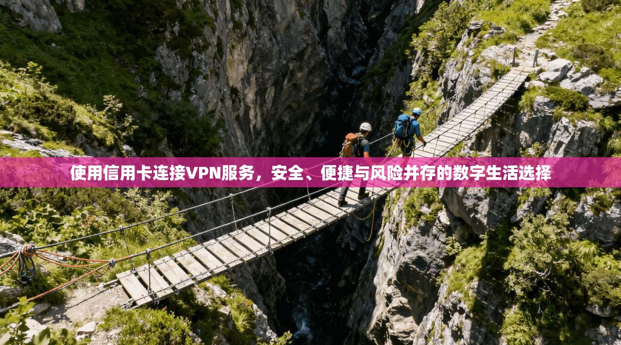 使用信用卡连接VPN服务，安全、便捷与风险并存的数字生活选择