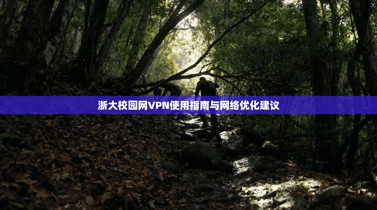 浙大校园网VPN使用指南与网络优化建议
