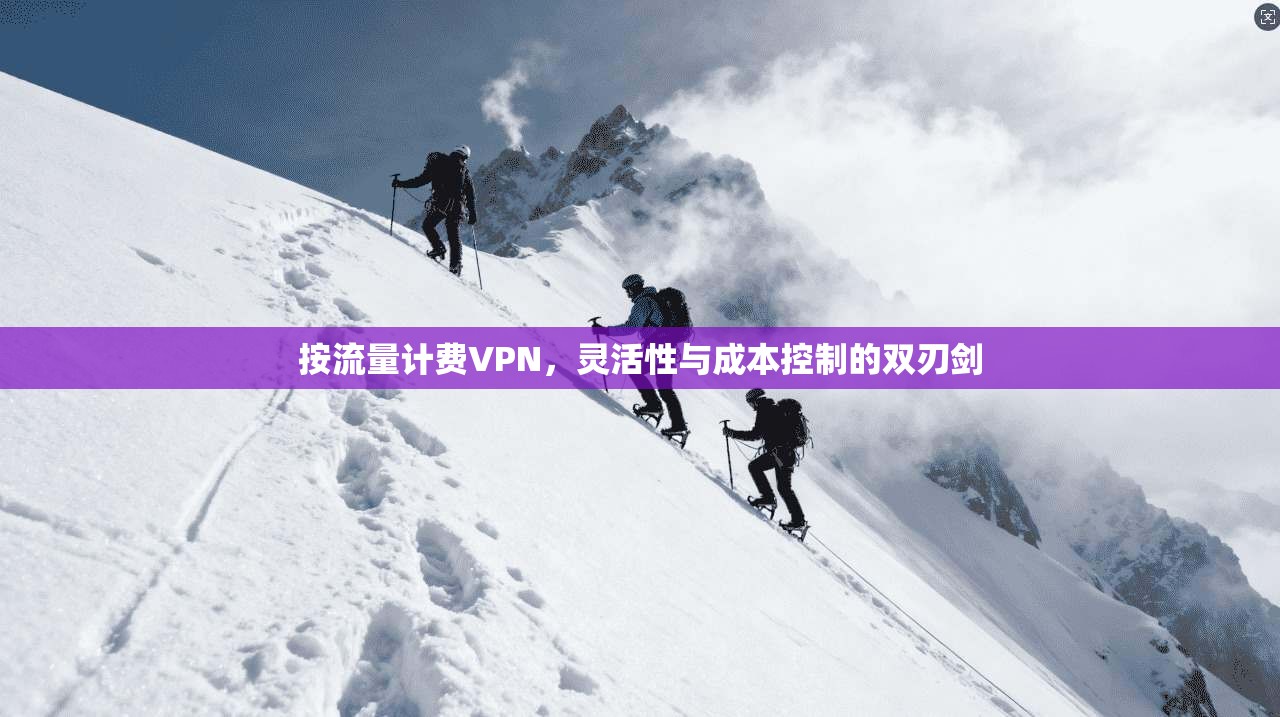 按流量计费VPN，灵活性与成本控制的双刃剑