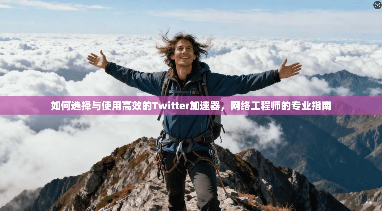 如何选择与使用高效的Twitter加速器，网络工程师的专业指南