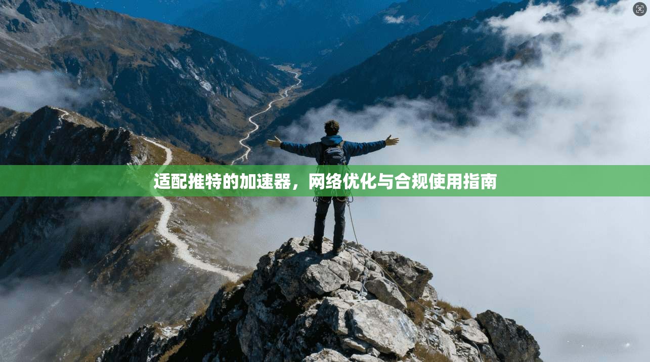 适配推特的加速器，网络优化与合规使用指南