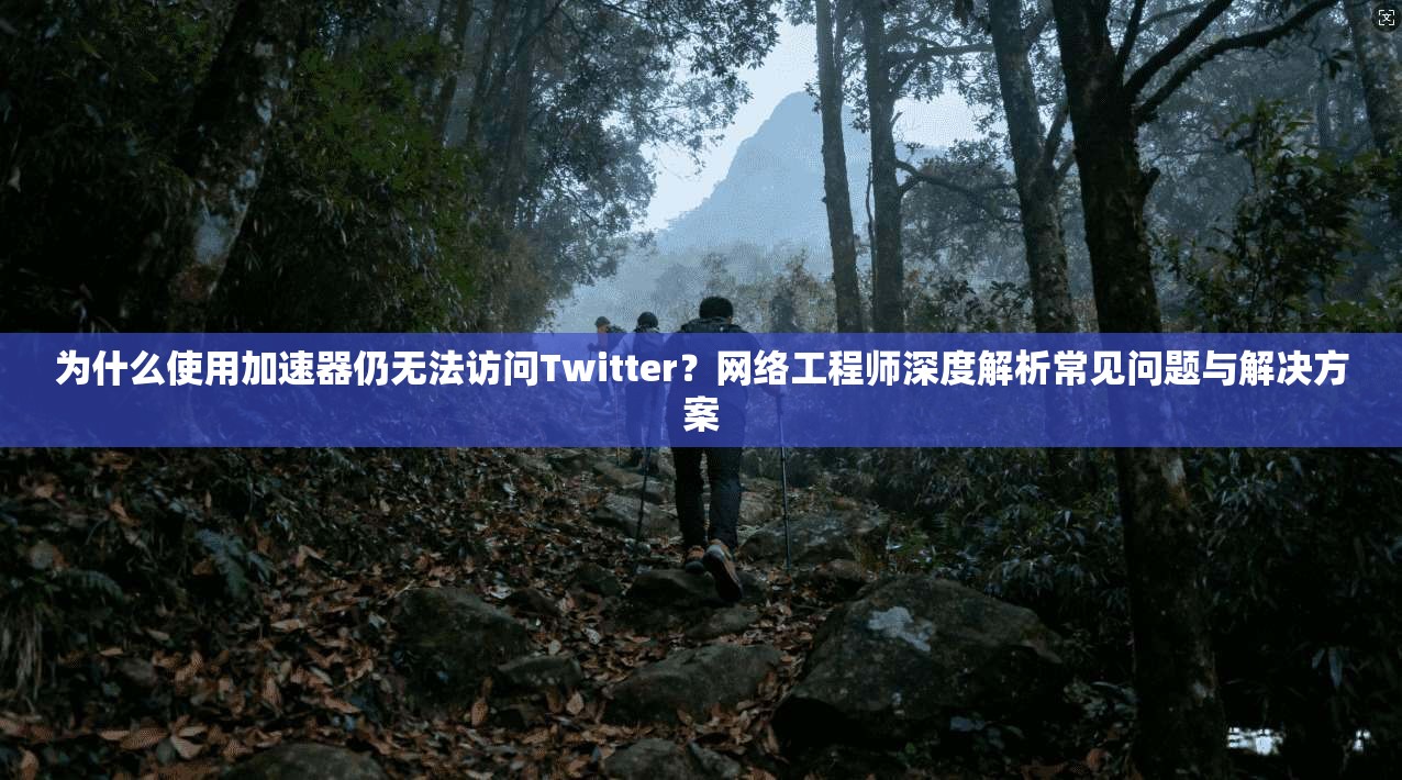 为什么使用加速器仍无法访问Twitter？网络工程师深度解析常见问题与解决方案