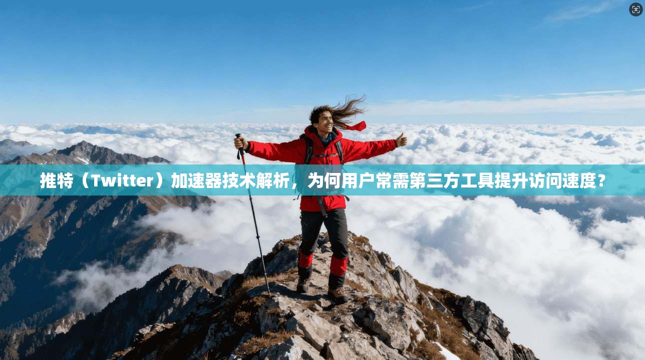 推特（Twitter）加速器技术解析，为何用户常需第三方工具提升访问速度？