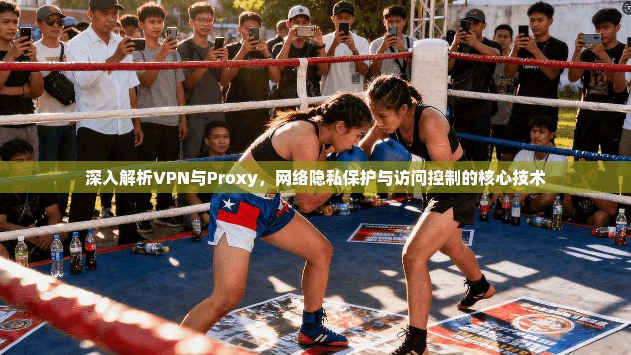 深入解析VPN与Proxy，网络隐私保护与访问控制的核心技术