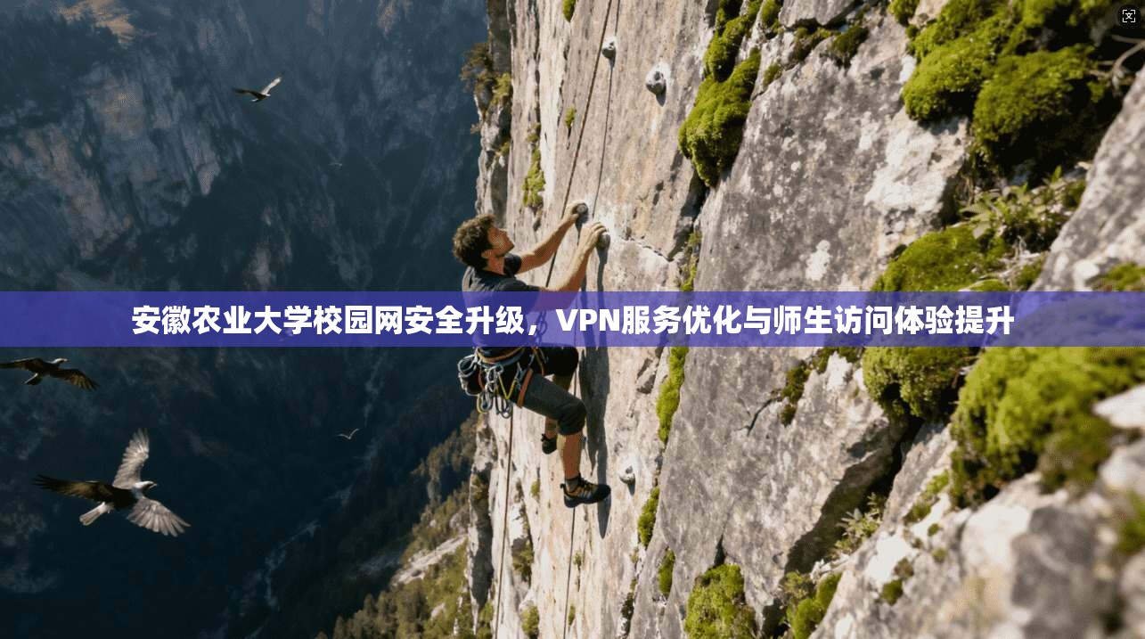 安徽农业大学校园网安全升级，VPN服务优化与师生访问体验提升