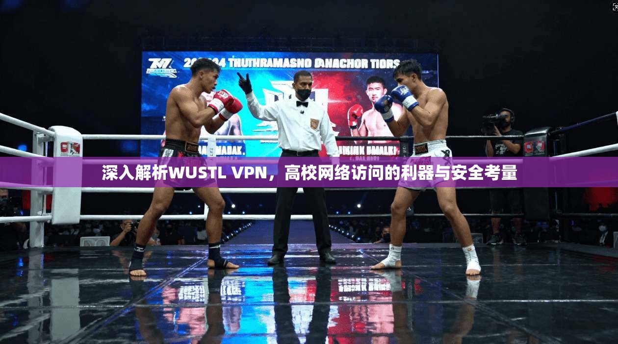 深入解析WUSTL VPN，高校网络访问的利器与安全考量