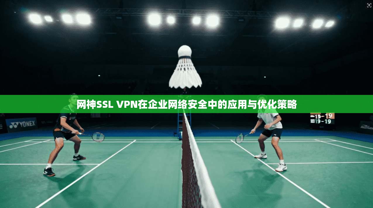 网神SSL VPN在企业网络安全中的应用与优化策略