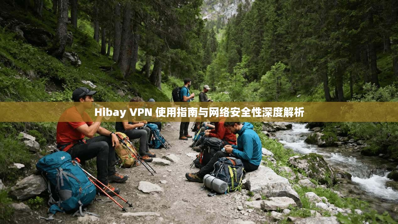 Hibay VPN 使用指南与网络安全性深度解析