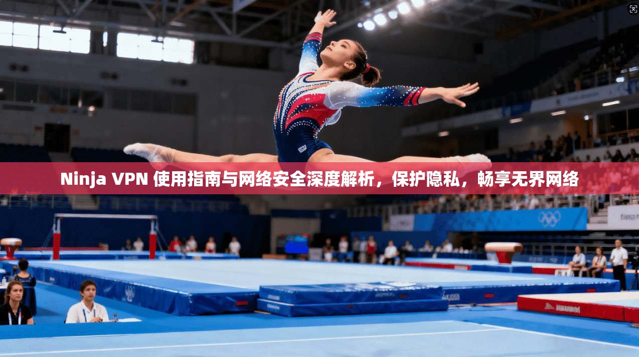 Ninja VPN 使用指南与网络安全深度解析，保护隐私，畅享无界网络