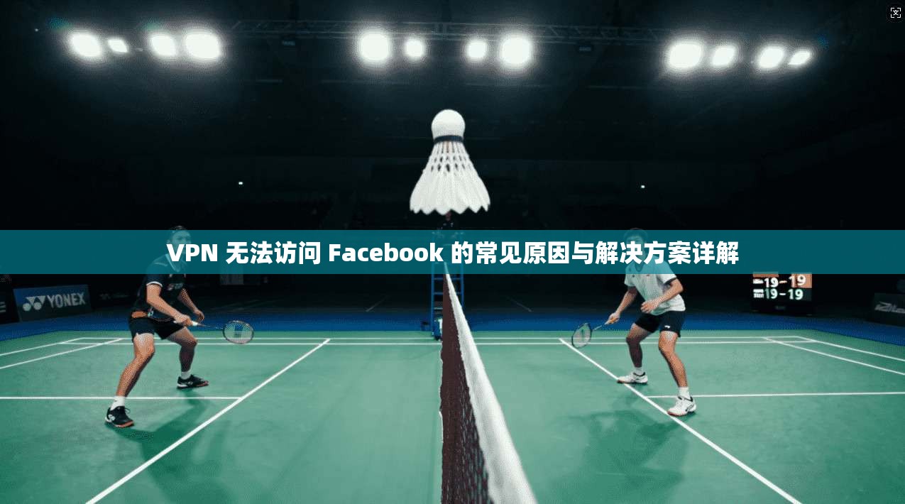 VPN 无法访问 Facebook 的常见原因与解决方案详解