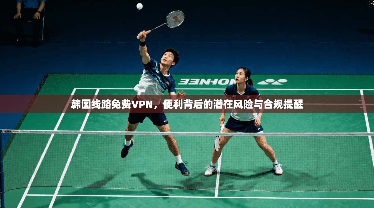 韩国线路免费VPN，便利背后的潜在风险与合规提醒