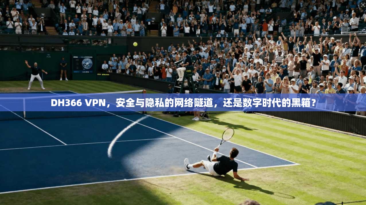 DH366 VPN，安全与隐私的网络隧道，还是数字时代的黑箱？