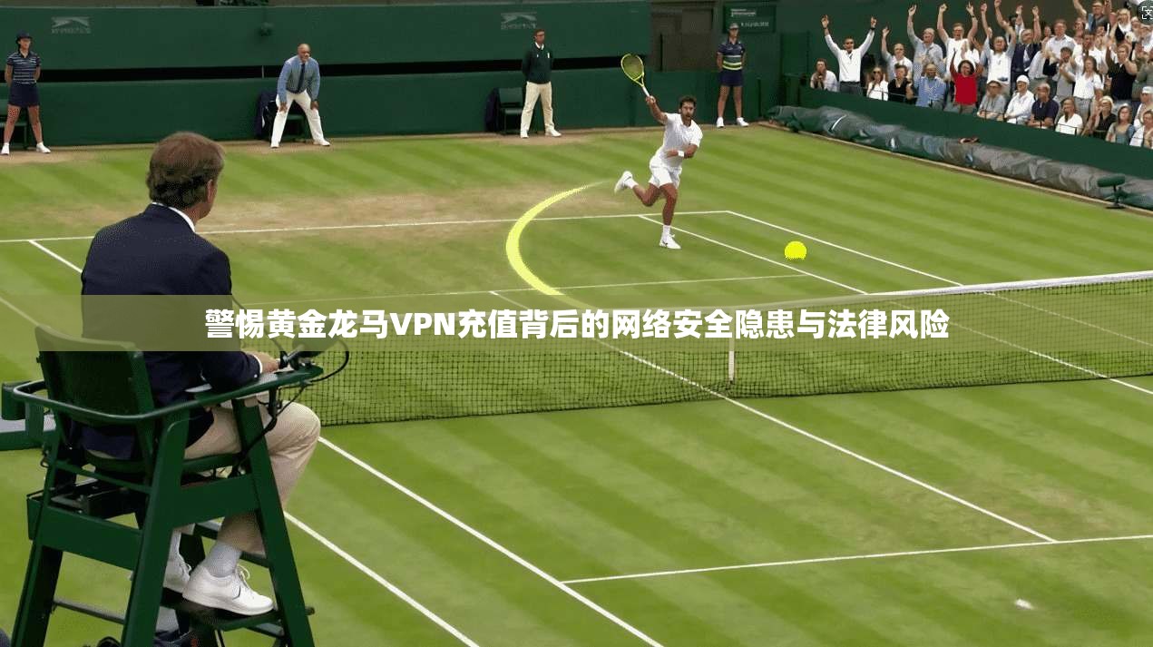 警惕黄金龙马VPN充值背后的网络安全隐患与法律风险