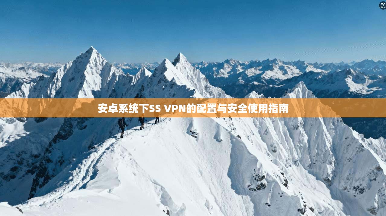 安卓系统下SS VPN的配置与安全使用指南