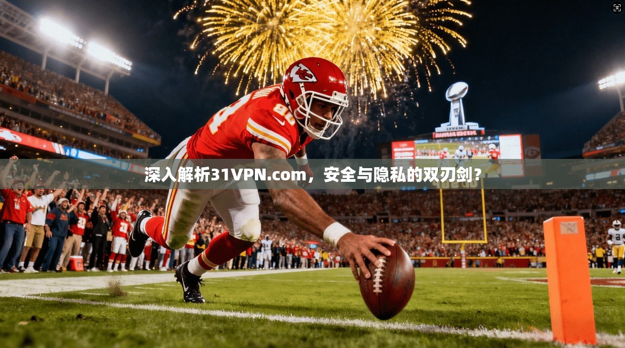深入解析31VPN.com，安全与隐私的双刃剑？
