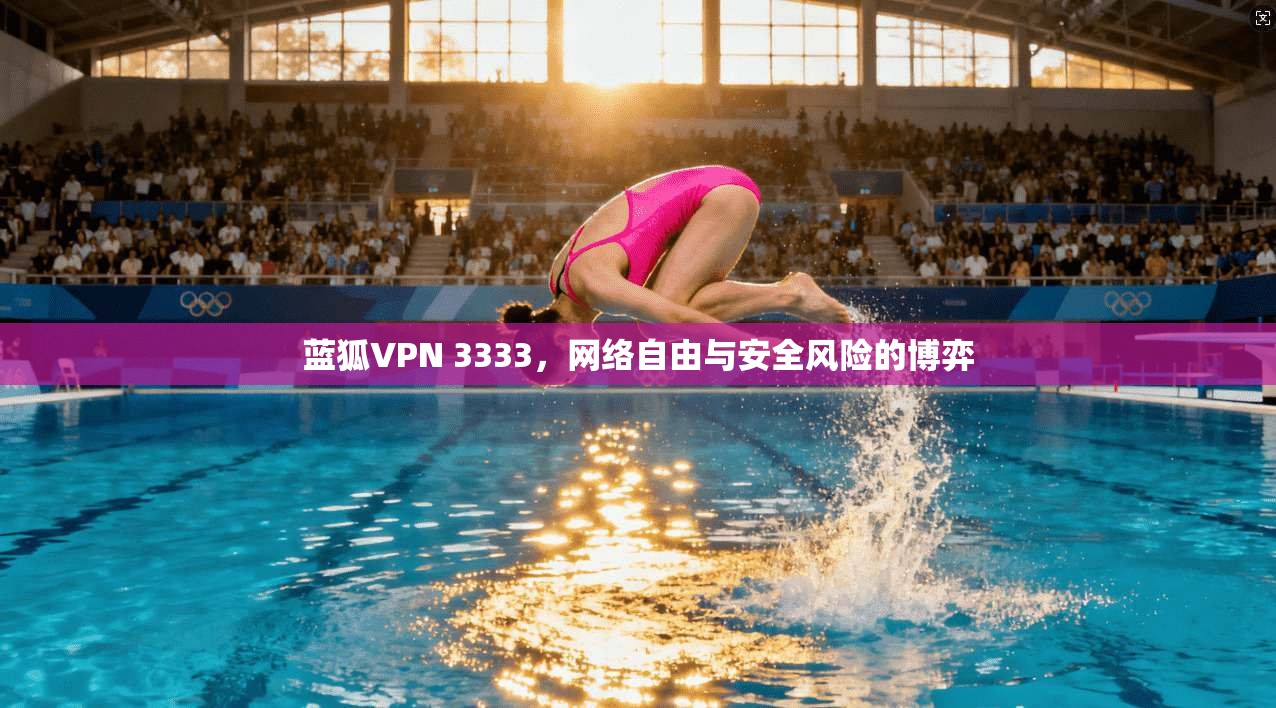 蓝狐VPN 3333，网络自由与安全风险的博弈