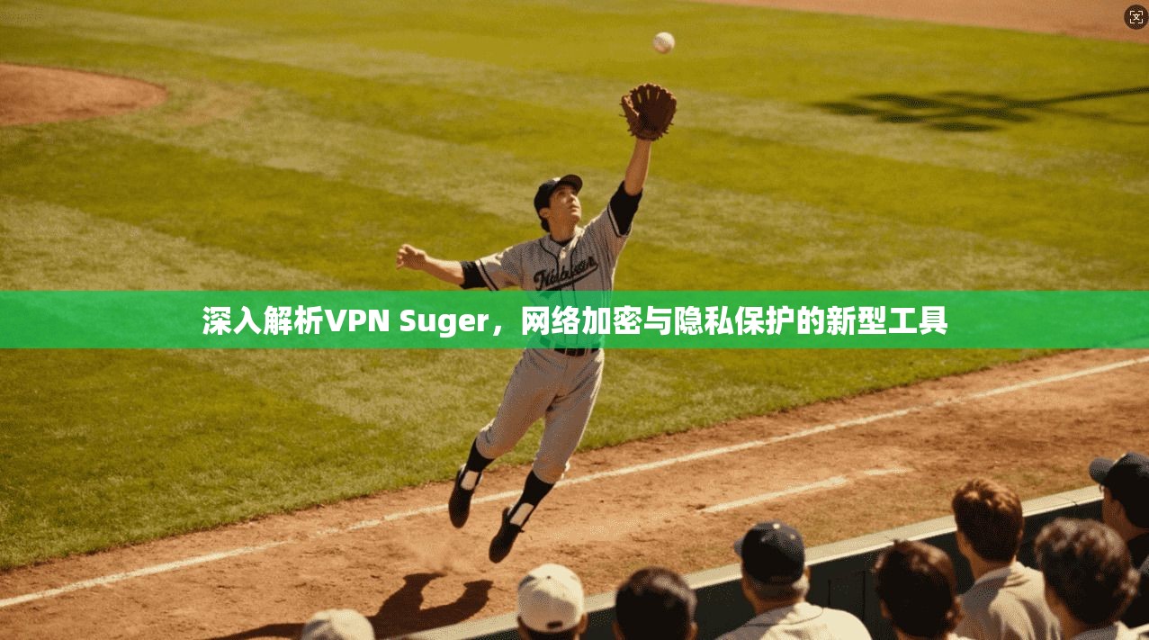 深入解析VPN Suger，网络加密与隐私保护的新型工具