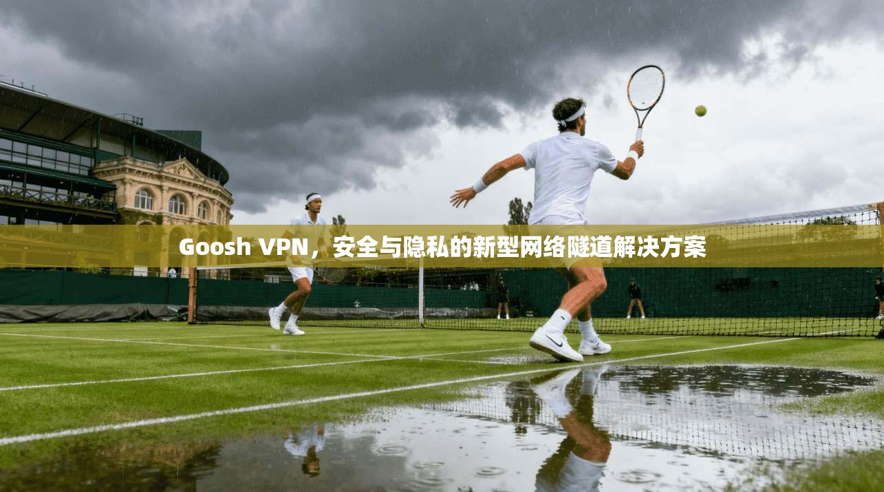 Goosh VPN，安全与隐私的新型网络隧道解决方案