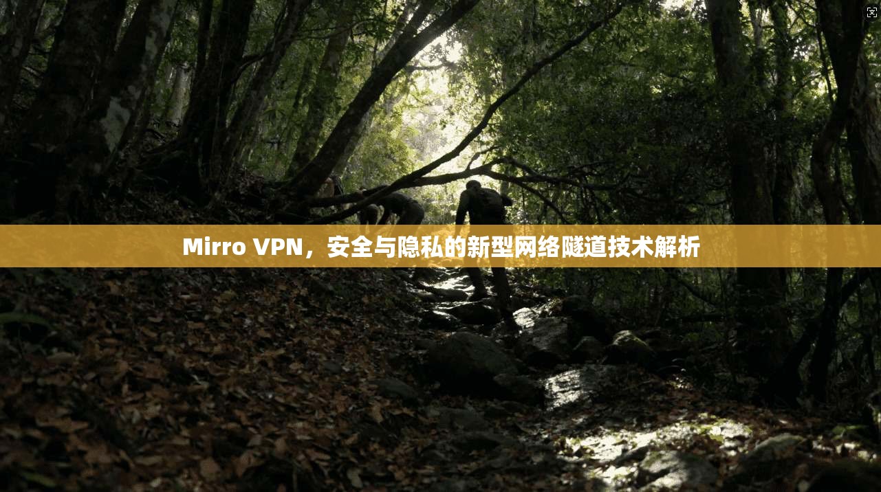 Mirro VPN，安全与隐私的新型网络隧道技术解析