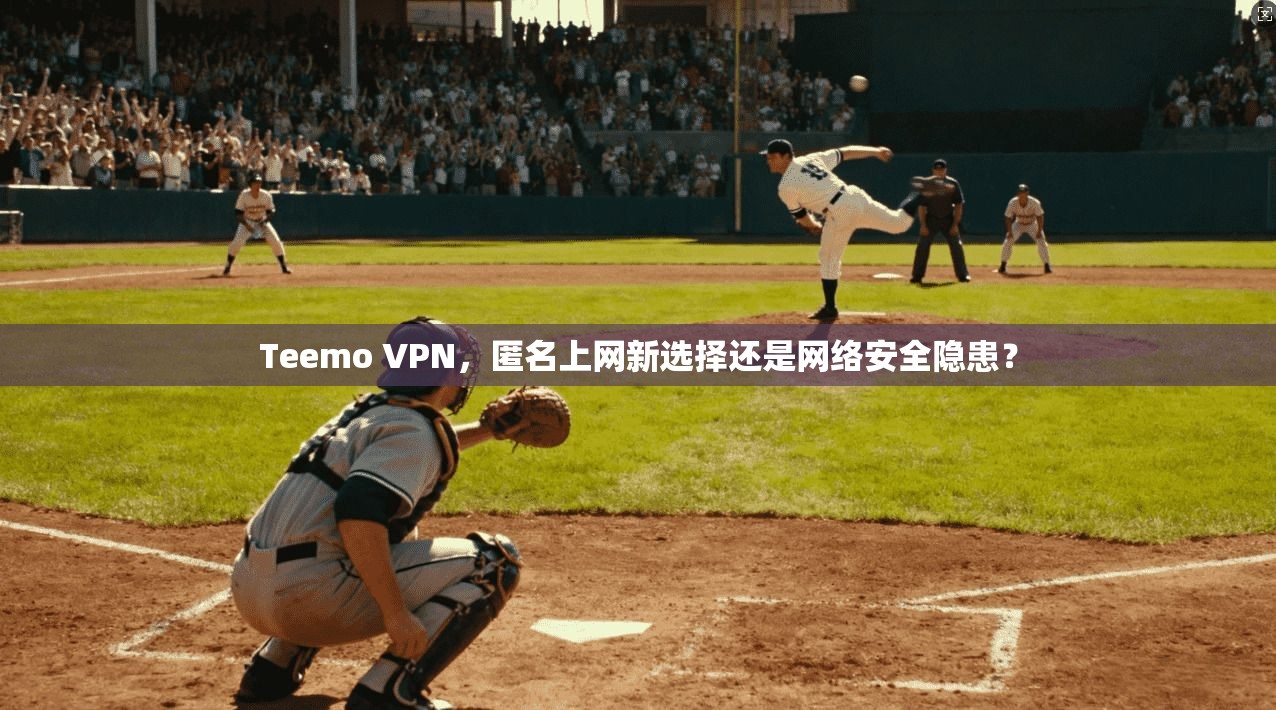 Teemo VPN，匿名上网新选择还是网络安全隐患？