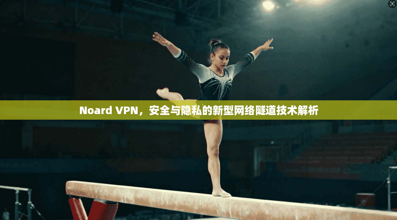 Noard VPN，安全与隐私的新型网络隧道技术解析