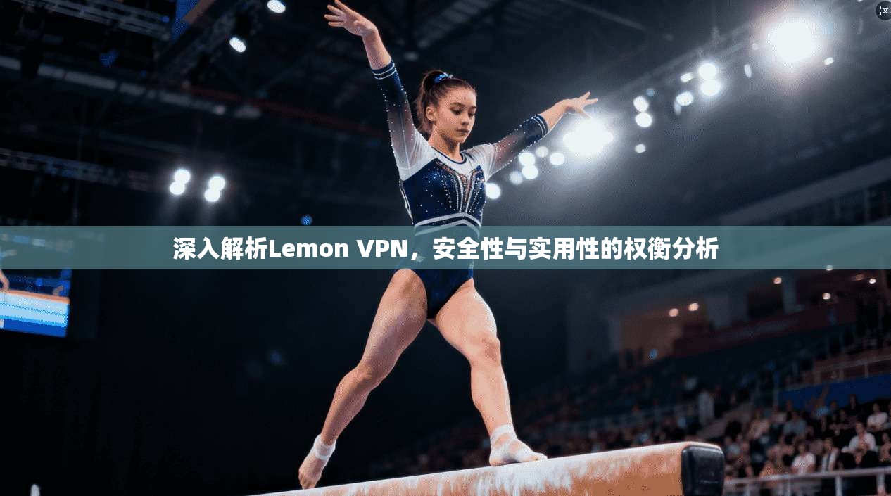 深入解析Lemon VPN，安全性与实用性的权衡分析