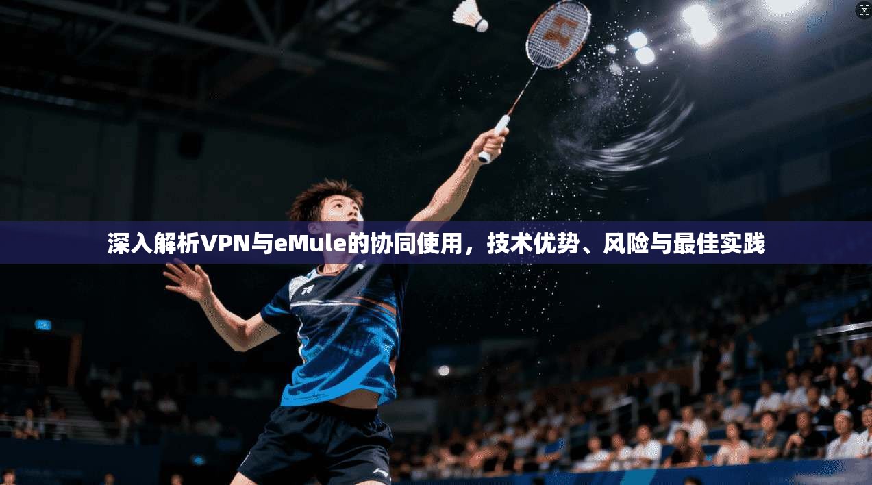 深入解析VPN与eMule的协同使用，技术优势、风险与最佳实践