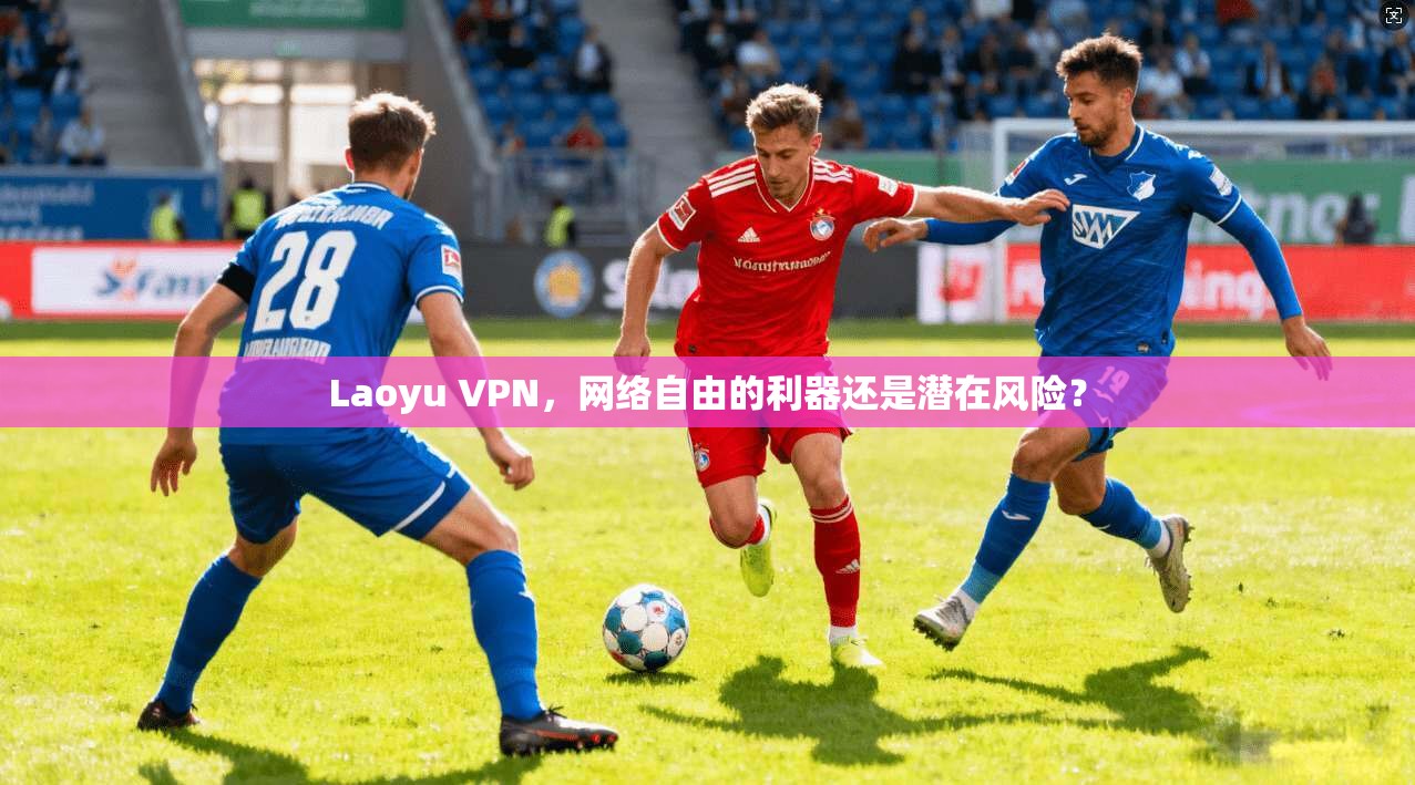 Laoyu VPN，网络自由的利器还是潜在风险？