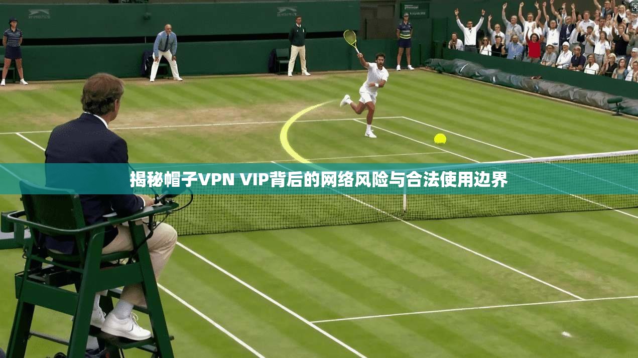 揭秘帽子VPN VIP背后的网络风险与合法使用边界
