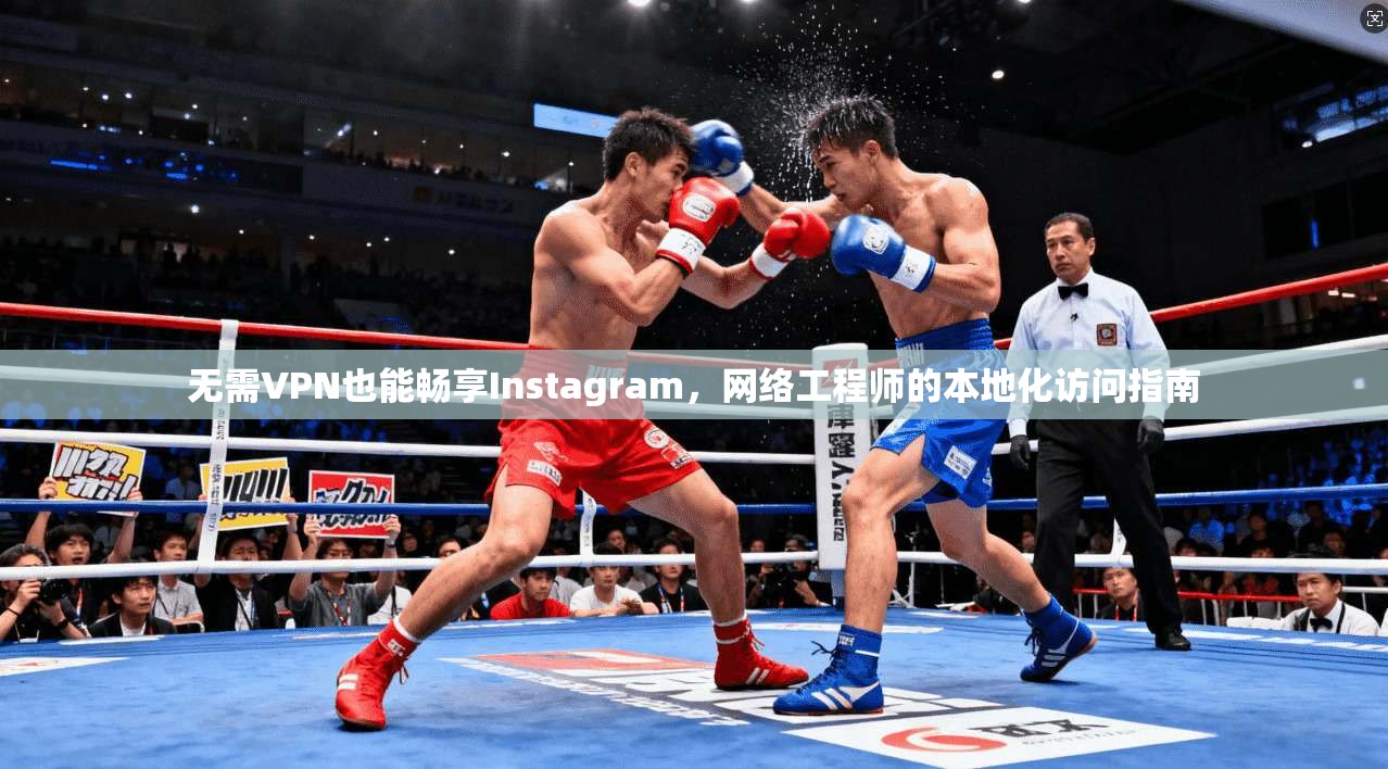无需VPN也能畅享Instagram，网络工程师的本地化访问指南