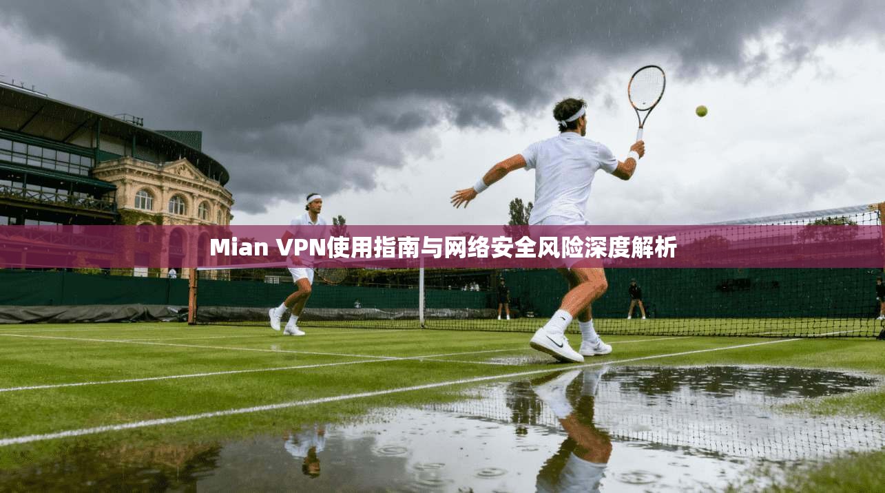 Mian VPN使用指南与网络安全风险深度解析