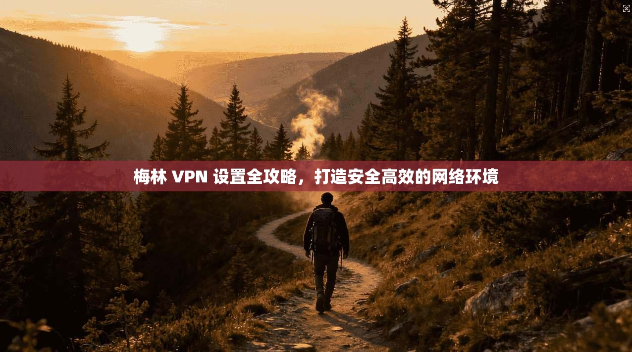 梅林 VPN 设置全攻略，打造安全高效的网络环境