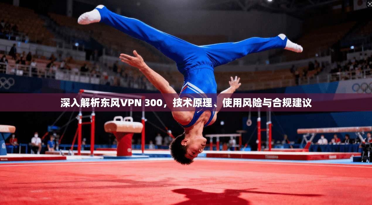 深入解析东风VPN 300，技术原理、使用风险与合规建议