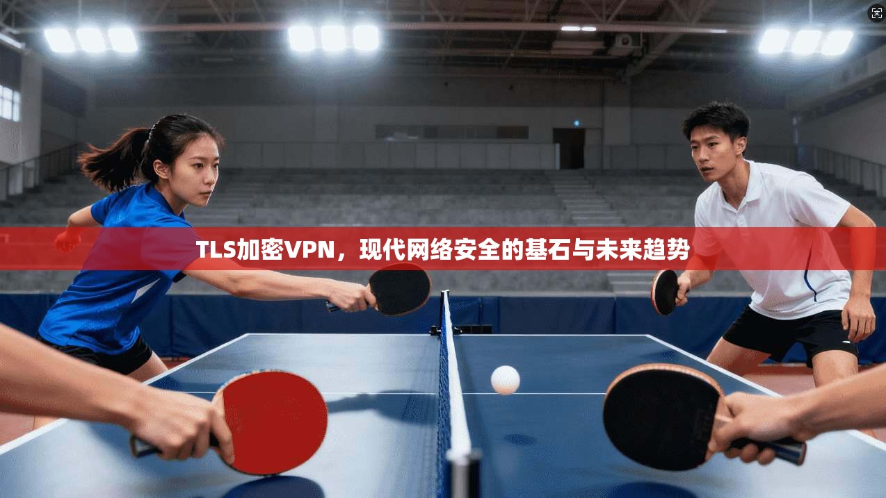 TLS加密VPN，现代网络安全的基石与未来趋势
